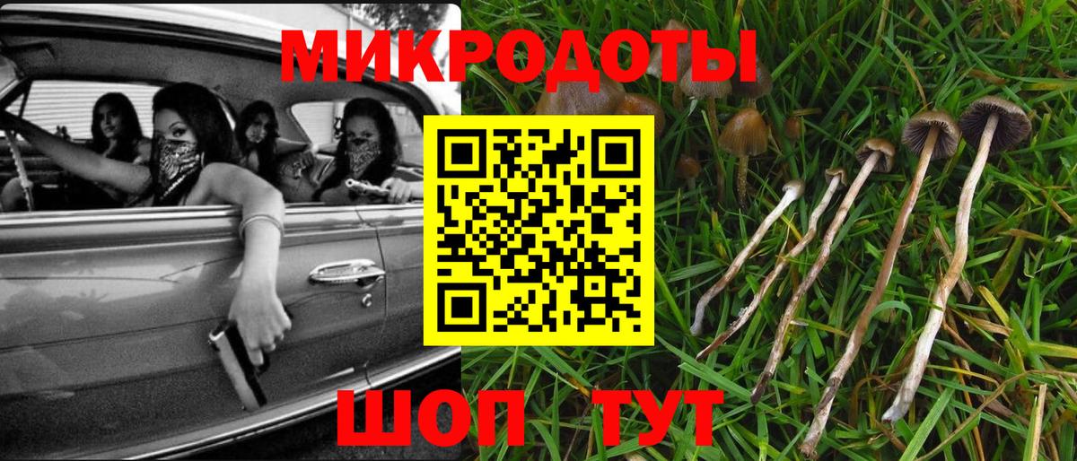Псилоцибиновые грибы Cubensis Камышлов